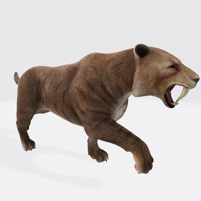 Mẫu 3D Hổ Răng Kiếm sẵn sàng in 3D