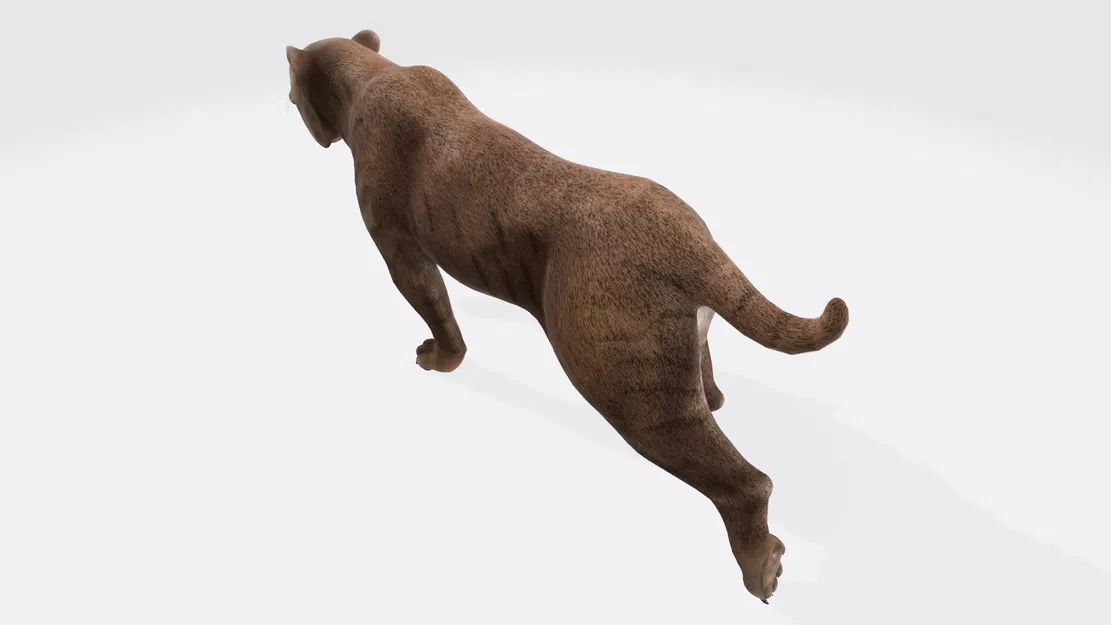 Mẫu 3D Hổ Răng Kiếm sẵn sàng in 3D - Image 3