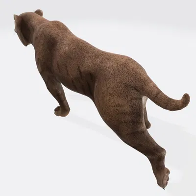 Mẫu 3D Hổ Răng Kiếm sẵn sàng in 3D