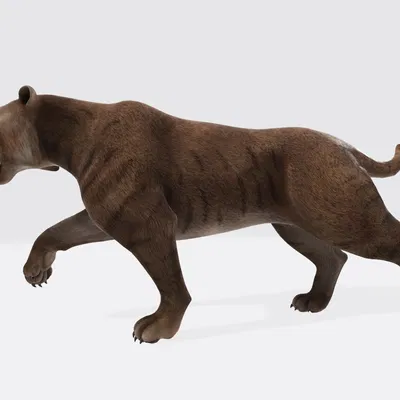 Mẫu 3D Hổ Răng Kiếm sẵn sàng in 3D