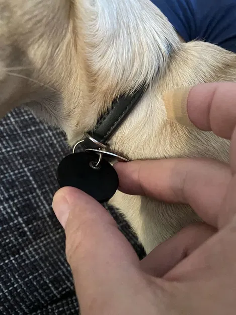 Nắp bọc cho thẻ chó Đức (Hundesteuermarke và Tasso) - Image 2