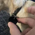 Nắp bọc cho thẻ chó Đức (Hundesteuermarke và Tasso) - Thumbnail 2