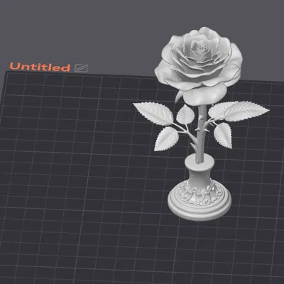 Rose In Bloom High Detail – Hoa Hồng Nở Rộ Chi Tiết Cao