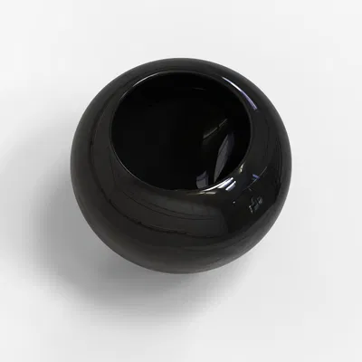 Black Vase_5BiA7 – Bình hoa đen (3D model)