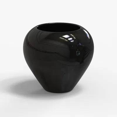 Black Vase_5BiA7 – Bình hoa đen (3D model)