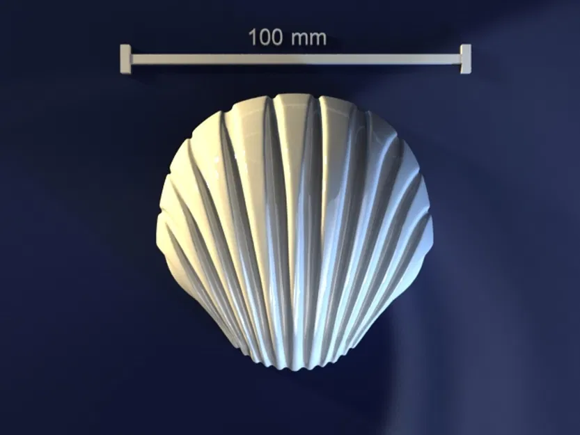 Sea shell_6x3vh – Model 3D khuôn vỏ sò - Image 1