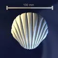 Sea shell_6x3vh – Model 3D khuôn vỏ sò - Thumbnail 1