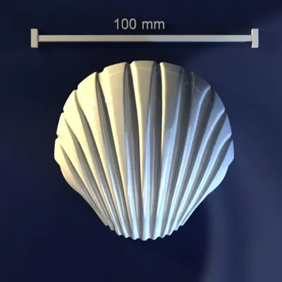 Sea shell_6x3vh – Model 3D khuôn vỏ sò