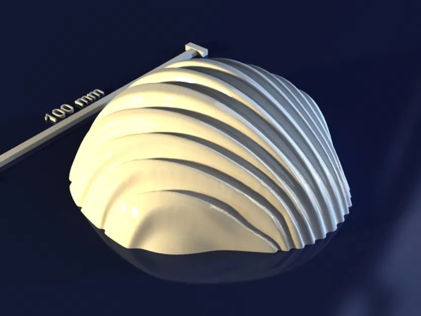 Sea shell_6x3vh – Model 3D khuôn vỏ sò - Image 3