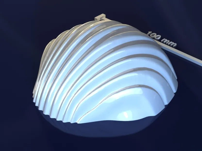 Sea shell_6x3vh – Model 3D khuôn vỏ sò - Image 4
