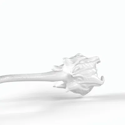 Tinh trùng Alien (Alien sperm cell)