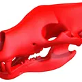 Mẫu 3D Sọ Gấu Sẵn Sàng In (3D Print Ready Bear Skull) - Thumbnail 3