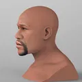 Tượng bán thân Floyd Mayweather sẵn sàng in 3D full color - Thumbnail 1