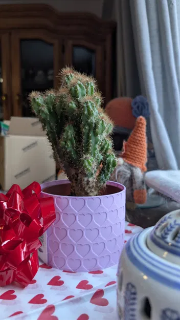 Chậu họa tiết trái tim - Valentine’s Day Classic - Image 1