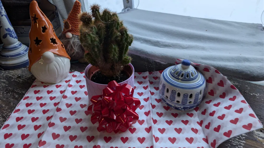 Chậu họa tiết trái tim - Valentine’s Day Classic - Image 2