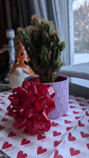 Chậu họa tiết trái tim - Valentine’s Day Classic - Image 4