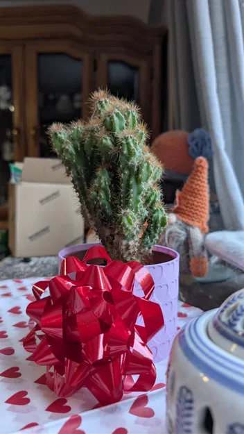 Chậu họa tiết trái tim - Valentine’s Day Classic - Image 13