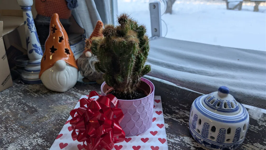 Chậu họa tiết trái tim - Valentine’s Day Classic - Image 14