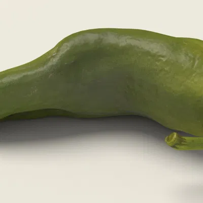 Pepper 01_IRPf0 – Mô hình ớt chuông xanh (Game Ready Unreal 4)