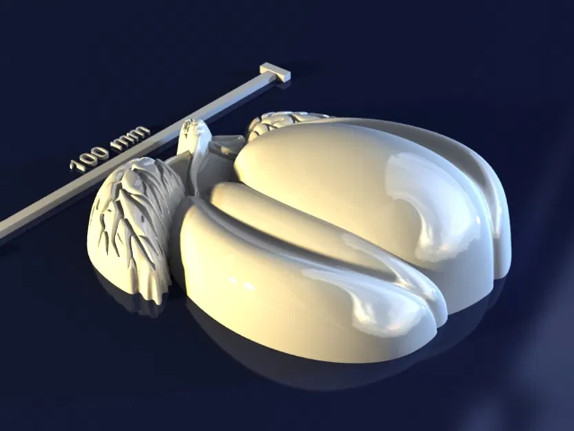 Plum_p3gkCp3 – Mẫu 3D khuôn Plum grave để làm xà phòng, chocolate, nến - Image 2