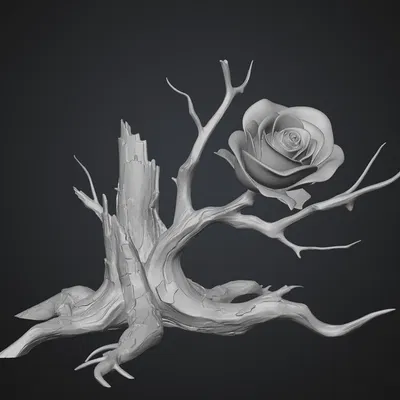 Rose_of_Hope – Hoa hồng Hy Vọng (3D Model)