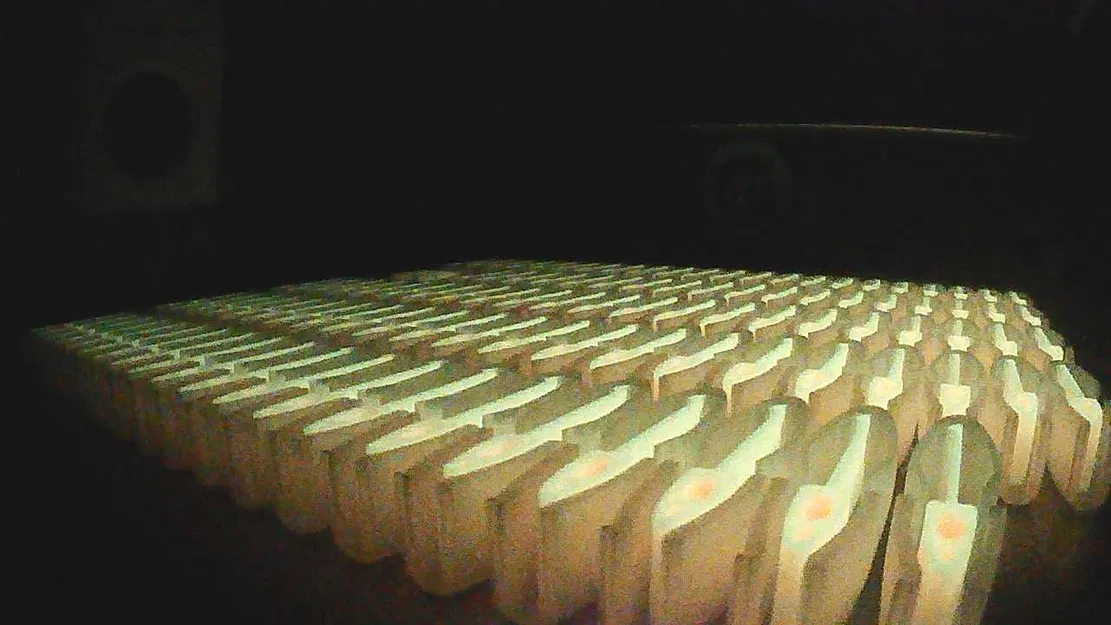 Còi 2 màu siêu lớn (cực kỳ to) - Image 5