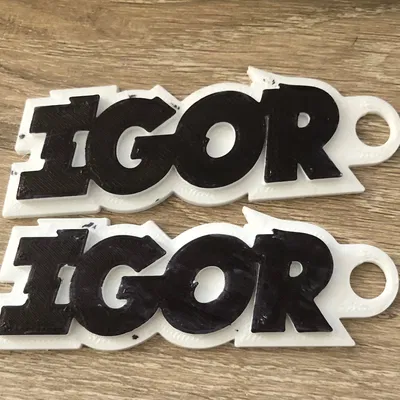 Móc khóa Igor (Igor Keychain)