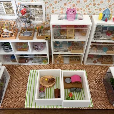 Kệ Miniature cho Cửa Hàng Thú Cưng