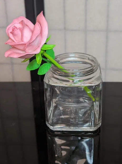 Rosa, sp (Hoa hồng trồng, thân ngắn) - Image 2