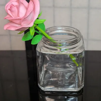 Rosa, sp (Hoa hồng trồng, thân ngắn)