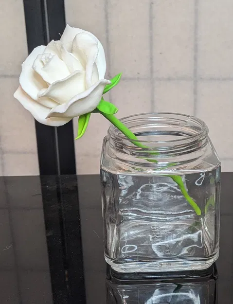 Rosa, sp (Hoa hồng trồng, thân ngắn) - Image 3