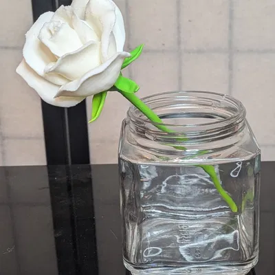 Rosa, sp (Hoa hồng trồng, thân ngắn)