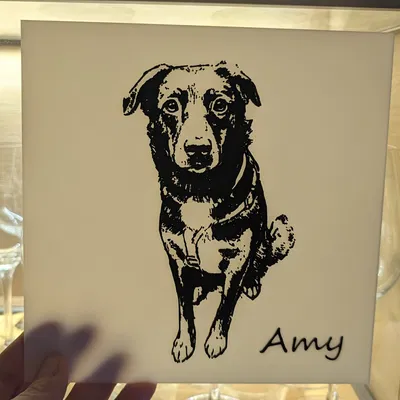 Tranh 3D hình chó có nhúng tên (lithophane-like)