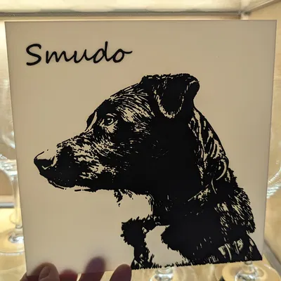 Tranh 3D hình chó có nhúng tên (lithophane-like)