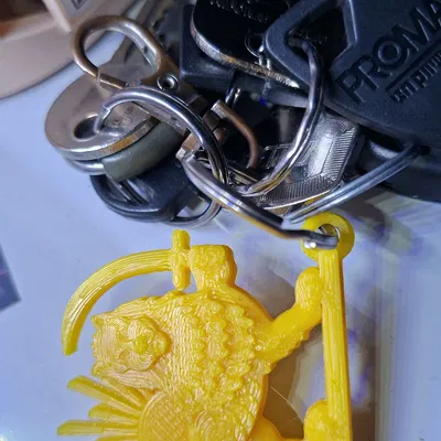 Móc khóa Iran (Iran Key Chain)