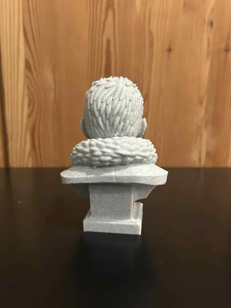 Fridtjof Wedel-Jarlsberg Nansen – Tượng bán thân - Image 4