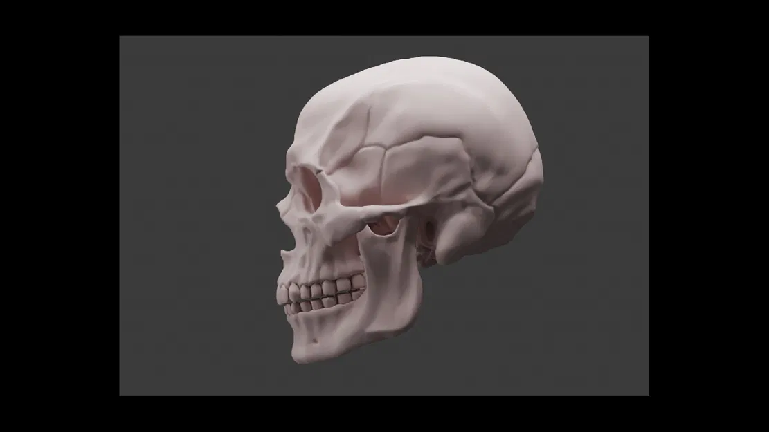 Human skull_oJpJ8 – Mẫu 3D Sọ Người (Nam) Chi Tiết Cao - Image 3
