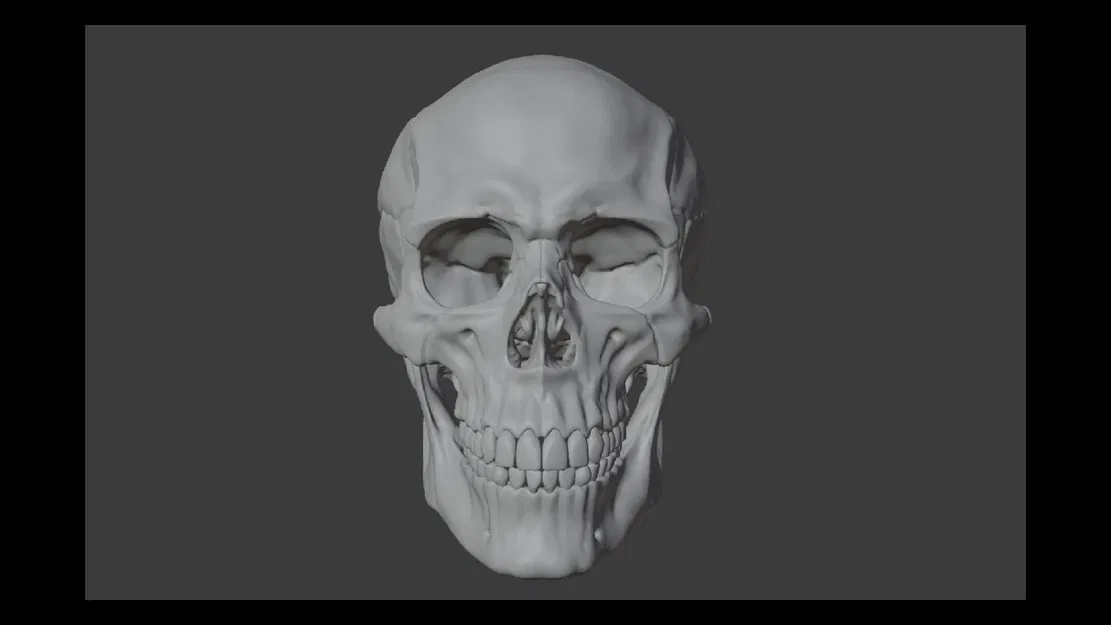 Human skull_oJpJ8 – Mẫu 3D Sọ Người (Nam) Chi Tiết Cao - Image 4