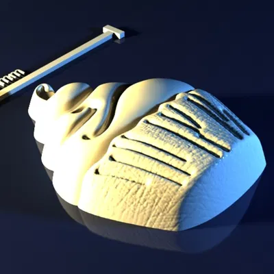 Cake_MwCwnMw – Mẫu 3D khuôn bánh (Cake mold) sẵn sàng 3D print