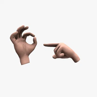 Hands rigged – Mẫu 2 bàn tay low poly