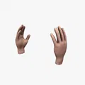 Hands rigged – Mẫu 2 bàn tay low poly - Thumbnail 2