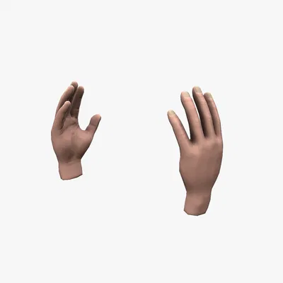 Hands rigged – Mẫu 2 bàn tay low poly
