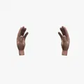 Hands rigged – Mẫu 2 bàn tay low poly - Thumbnail 3