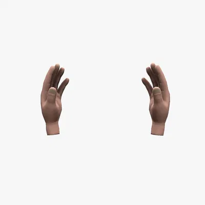 Hands rigged – Mẫu 2 bàn tay low poly