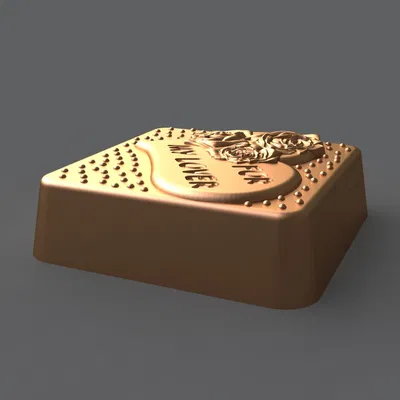 Dành cho người yêu của tôi (For my lover)