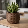 Chậu Circles Planter – Decor Botany Chic với họa tiết vòng tròn hiện đại - Thumbnail 2