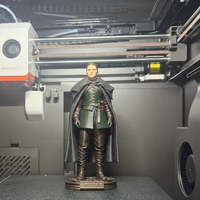 Arya Stark – Mẫu 3D Trưng Bày