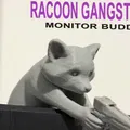 Buddy monitor gấu mèo gangster - Thumbnail 1