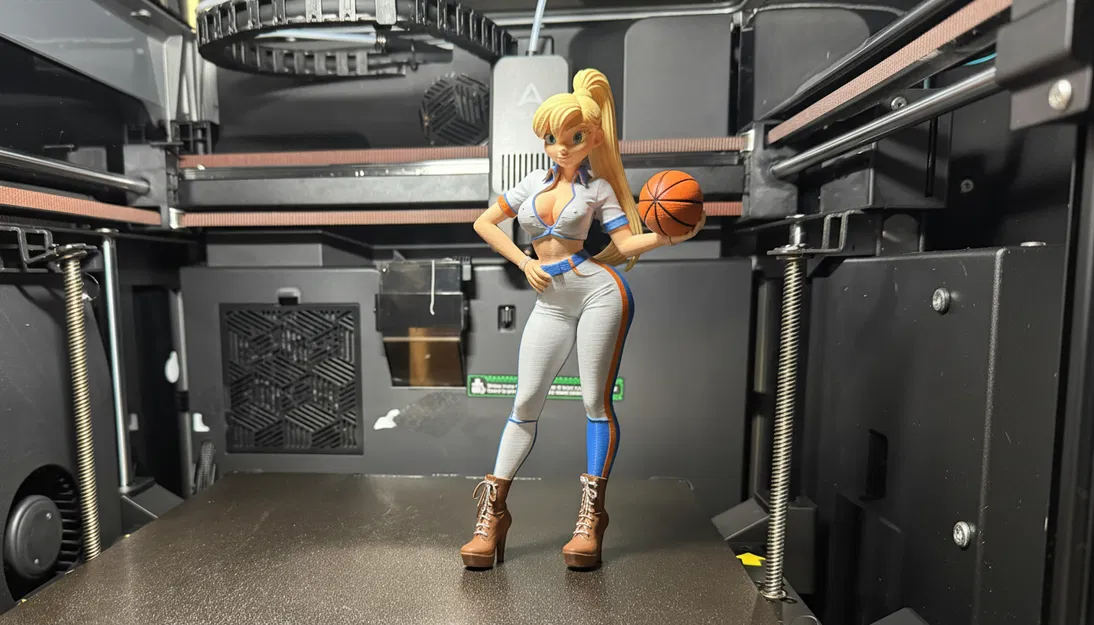 Basketball Lady - Image 1