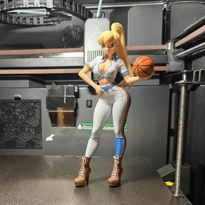 Basketball Lady